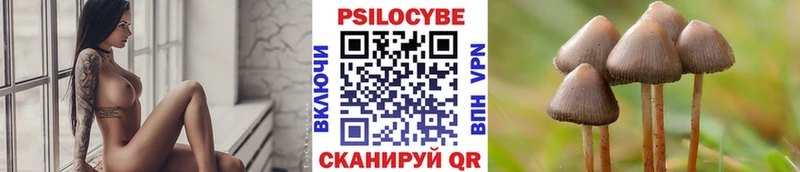 MEGA Пыть-Ях Псилоцибиновые грибы мухоморы