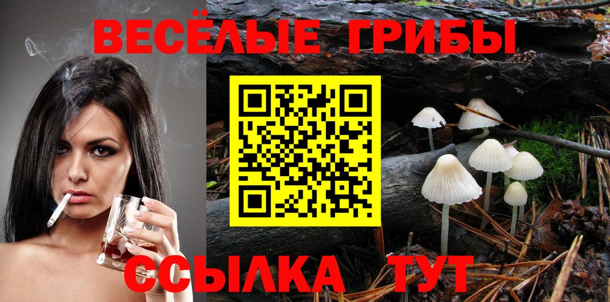 Галлюциногенные грибы GOLDEN TEACHER Пыть-Ях